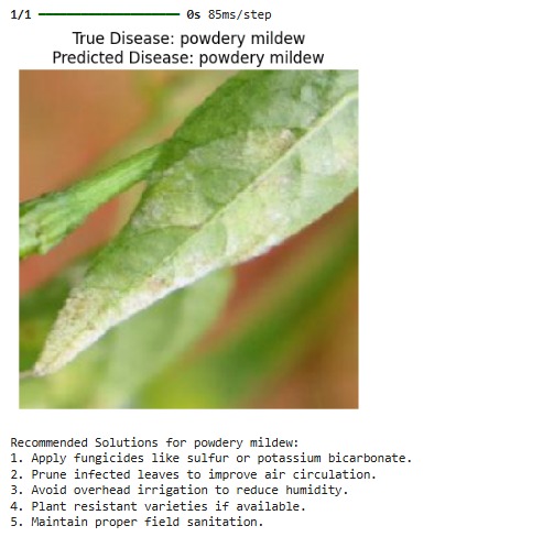 Leaf Damage Detection